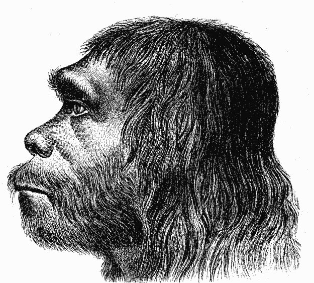 Neanderthal01